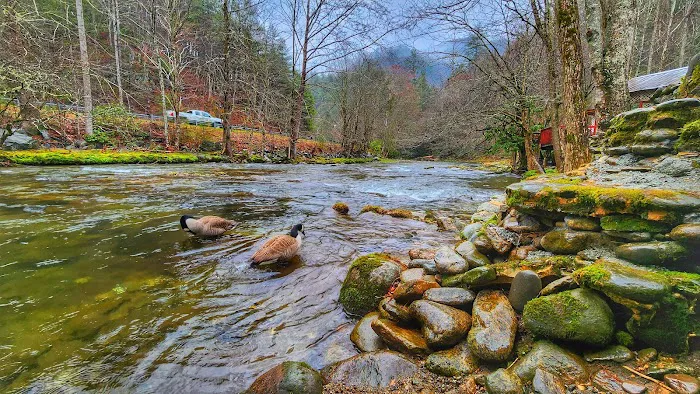 Twin Forks RV park Picture 2