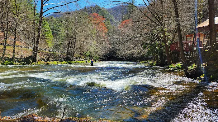 Twin Forks RV park Picture 1