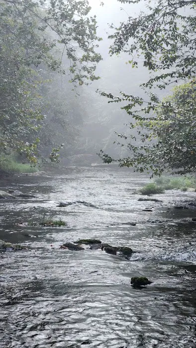 Twin Forks RV park Picture 6