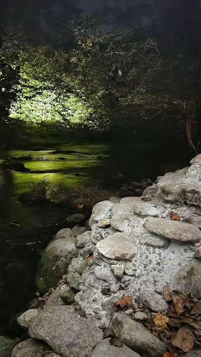 Twin Forks RV park Picture 7