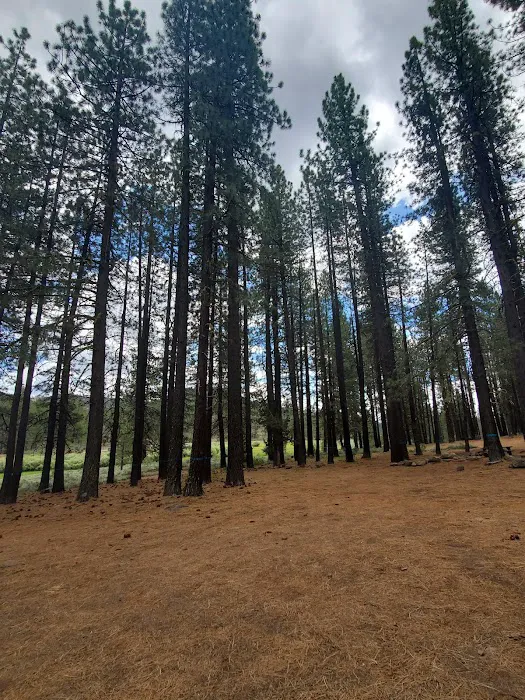 Crocker Campground Picture 3