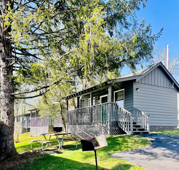 Foothills RV Park & Cabins Picture 3