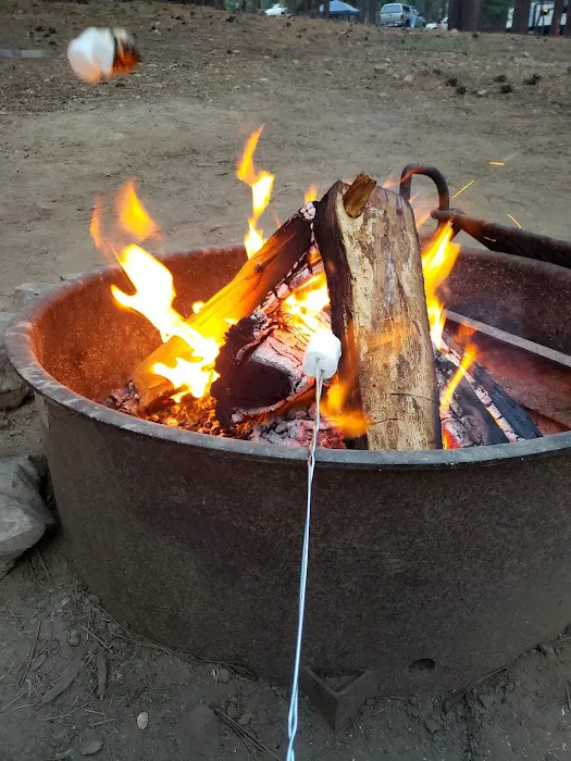 Grizzly Campground Picture 5