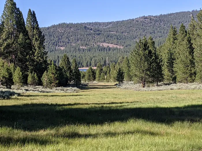 Grizzly Campground Picture 3