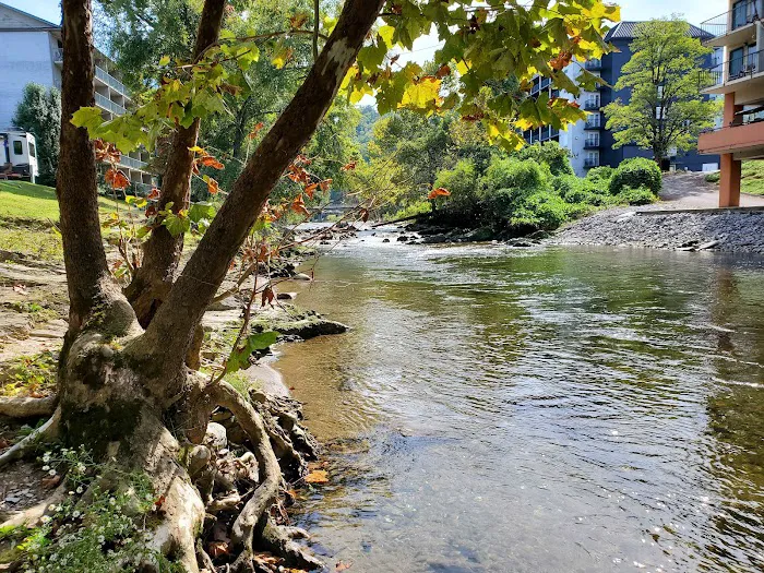 Camp Riverslanding Picture 5