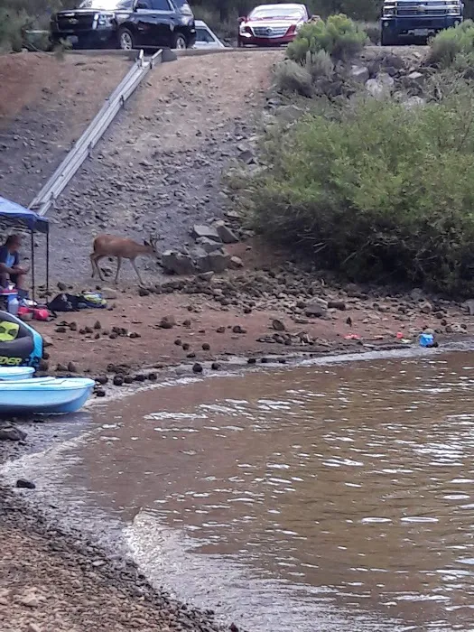 Frenchman Campground Picture 1