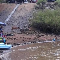 Frenchman Campground ico