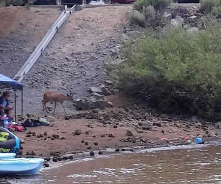 Frenchman Campground