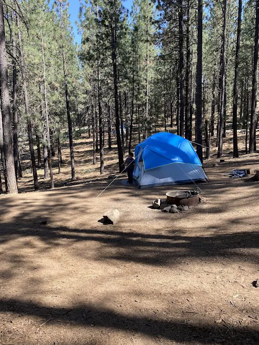 Frenchman Campground Picture 3