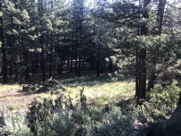 Frenchman Campground Picture 5