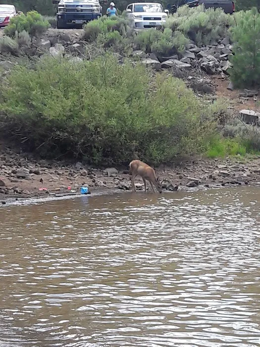 Frenchman Campground Picture 6