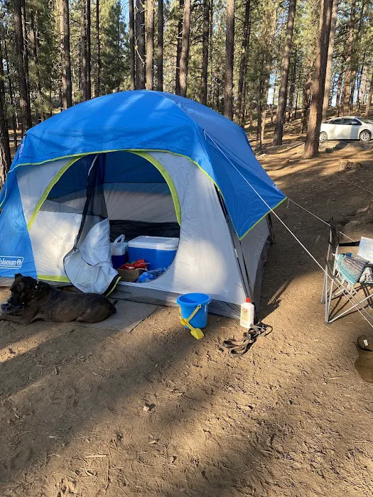 Frenchman Campground Picture 9