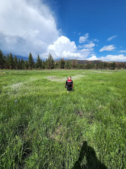 Frenchman Campground Picture 8