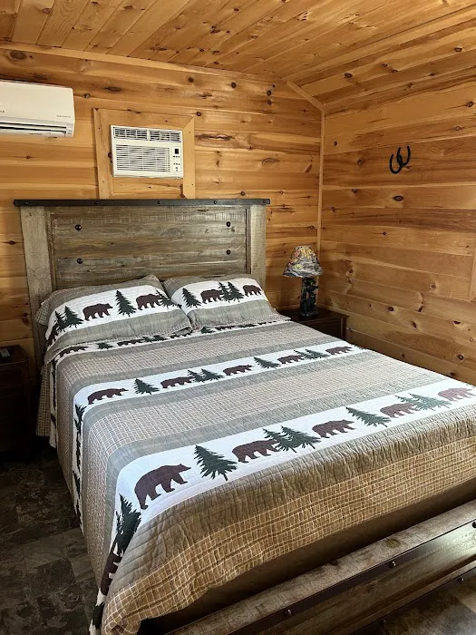 Buddy Bear in the Smokies RV Campground Picture 1