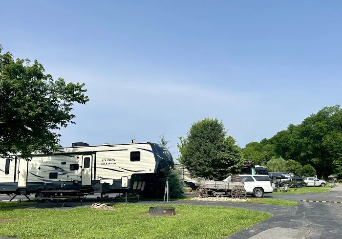 Buddy Bear in the Smokies RV Campground Picture 2