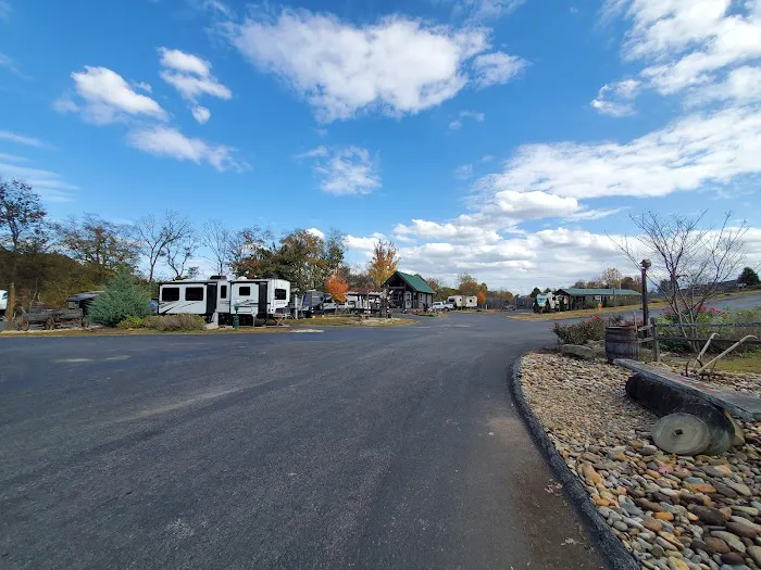 Buddy Bear in the Smokies RV Campground Picture 5