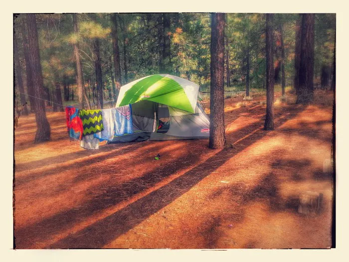 Cottonwood Spring Campground Picture 9