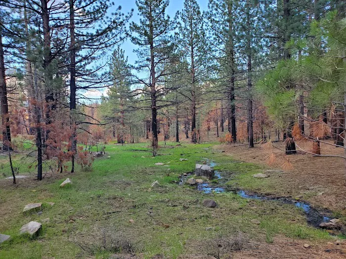 Cottonwood Spring Campground Picture 8