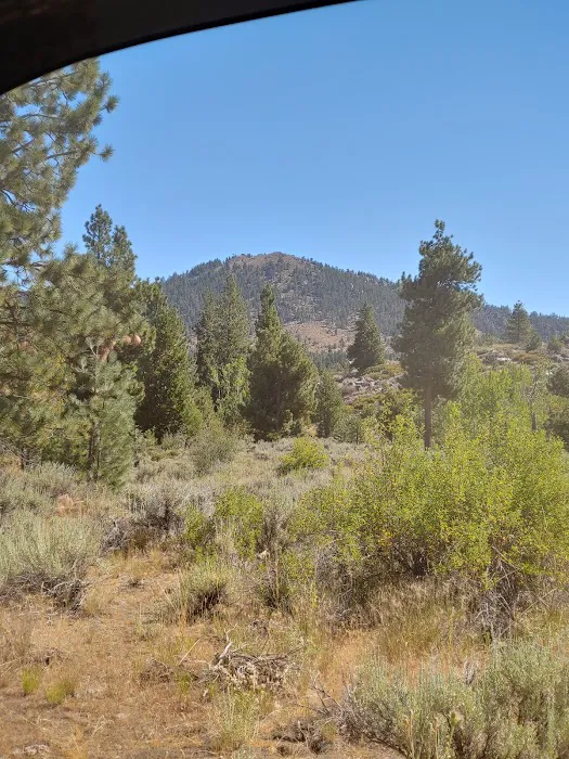 Cottonwood Spring Campground Picture 7