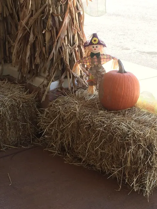 Pine Mountain RV Park Picture 6