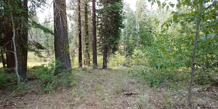 Big Cove Campground Picture 10