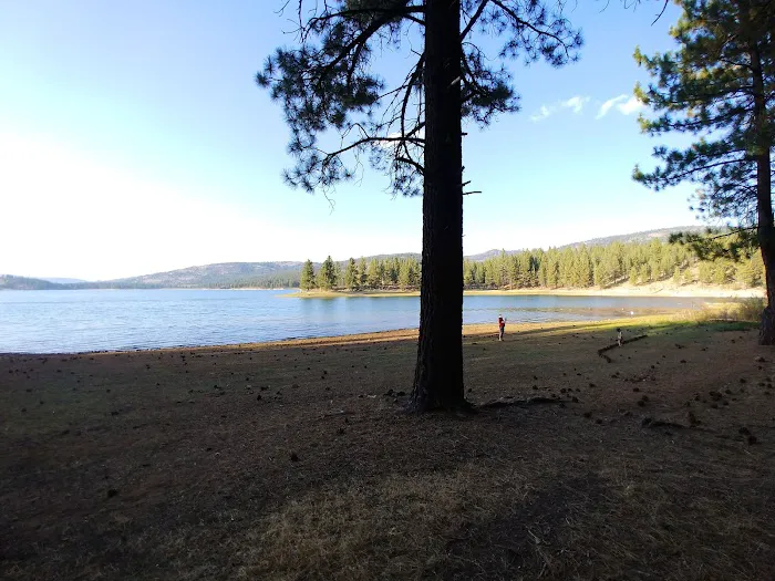 Spring Creek Campground Picture 6