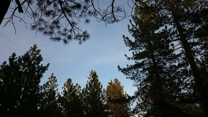 Spring Creek Campground Picture 7
