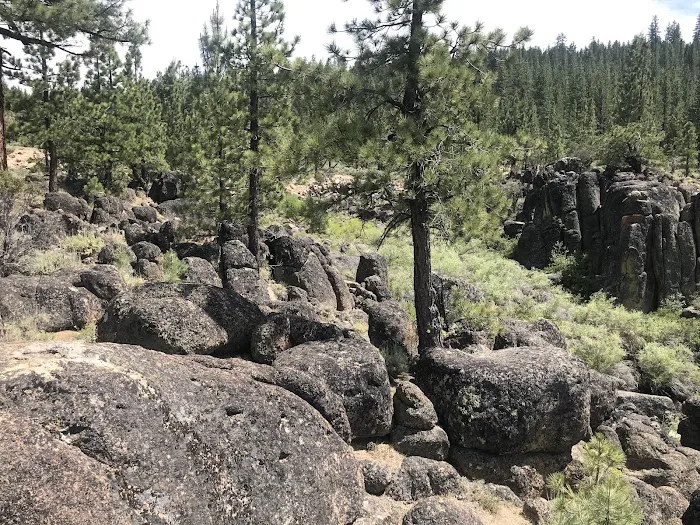 Spring Creek Campground Picture 9