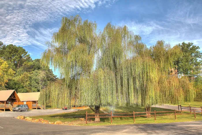 Sun Outdoors Pigeon Forge Picture 8