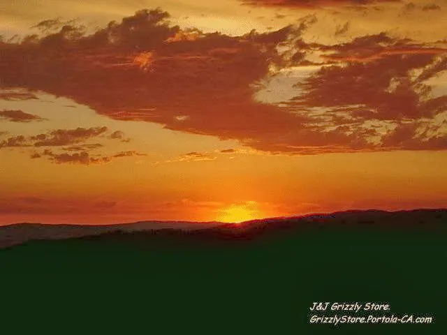 J and J Grizzly Store and Camping Resort Picture 1