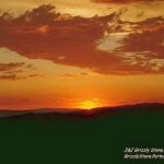 J and J Grizzly Store and Camping Resort