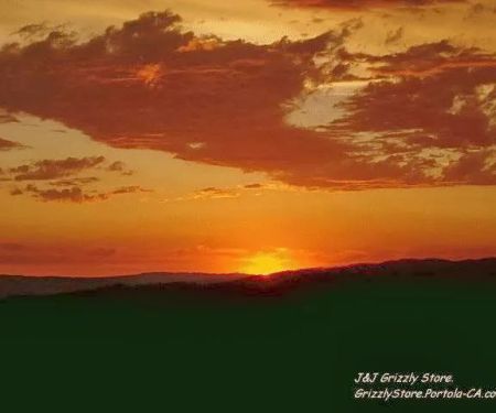 J and J Grizzly Store and Camping Resort