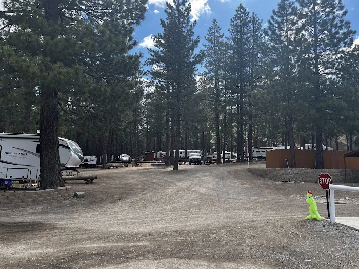 J and J Grizzly Store and Camping Resort Picture 8