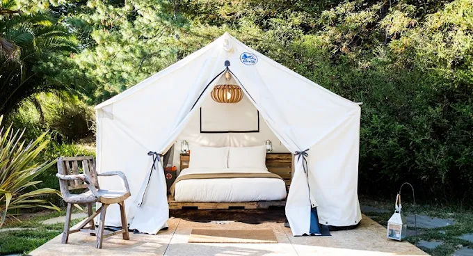 Holy Smokies RV Park & Glamping Picture 4