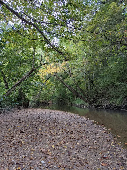 King's Holly Haven RV Park Picture 5