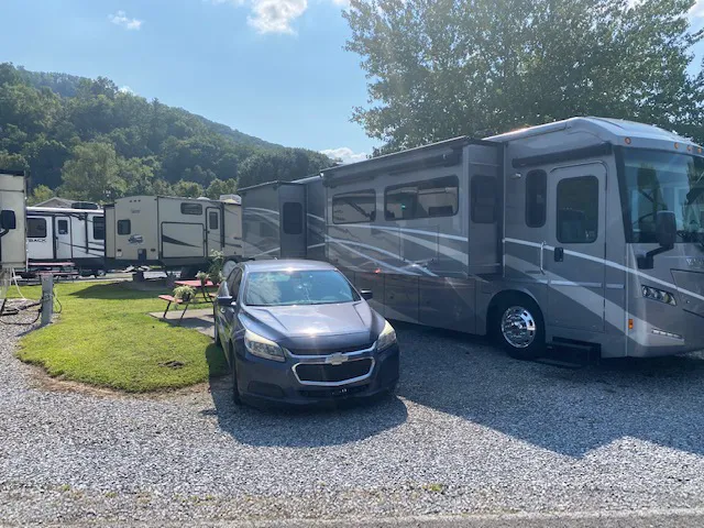 King's Holly Haven RV Park Picture 2