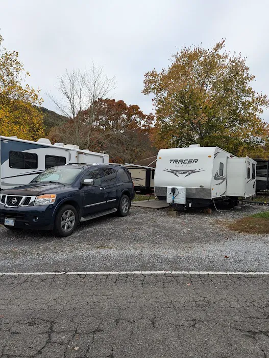 King's Holly Haven RV Park Picture 6