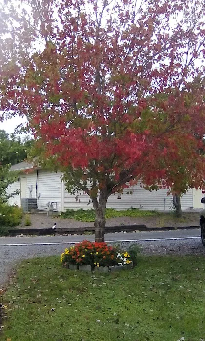 King's Holly Haven RV Park Picture 9