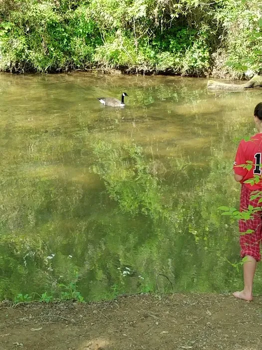 King's Holly Haven RV Park Picture 10