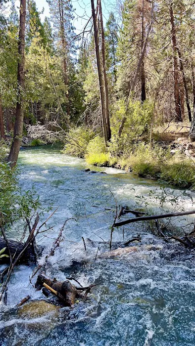 Chilcoot Family Campground Picture 2