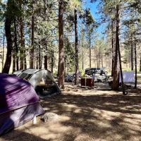 Chilcoot Family Campground ico