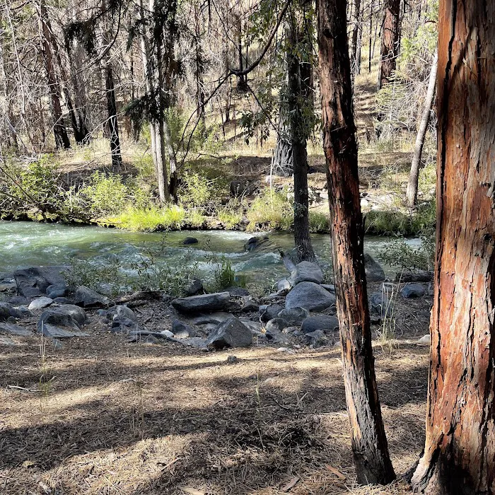Chilcoot Family Campground Picture 6