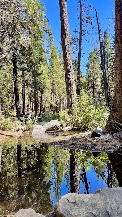 Chilcoot Family Campground Picture 5