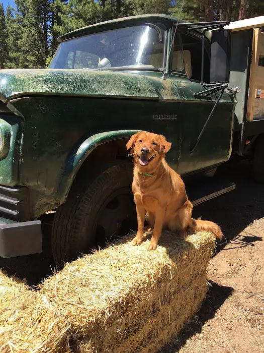 Dream Catcher RV Park & Campground Picture 6