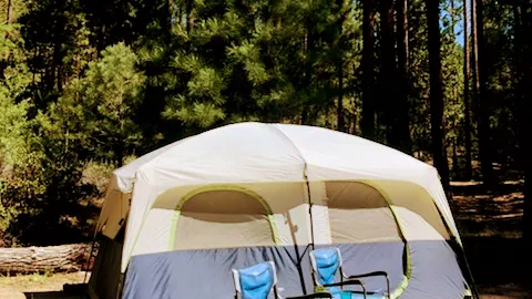 Camp Shady Meadow Picture 8