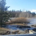 US Forest Service Ranger Station
