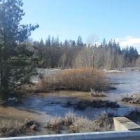 US Forest Service Ranger Station ico