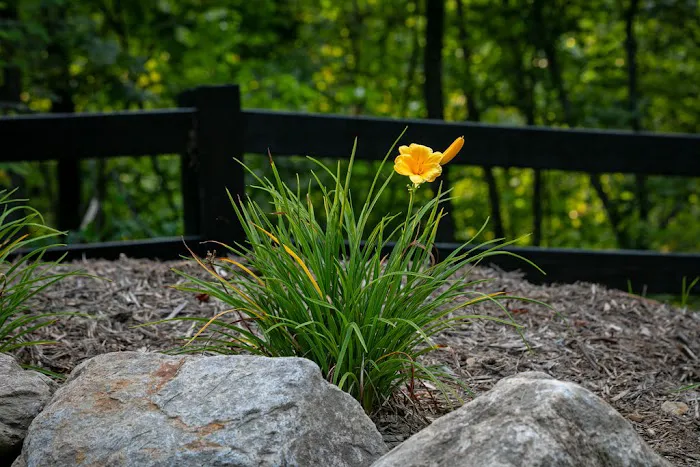 Gatlin Ridge RV Park Picture 9