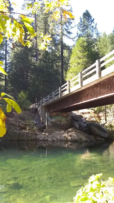 Golden Trout Picture 2