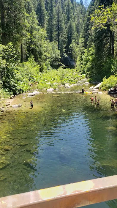 Golden Trout Picture 1